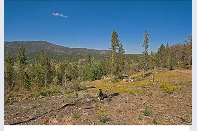 5713 N County Road 73C, Red Feather Lakes, CO 80545 - Photo 21