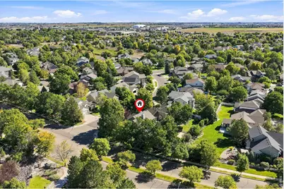 243 Cattail Bay, Windsor, CO 80550 - Photo 41