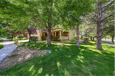 243 Cattail Bay, Windsor, CO 80550 - Photo 3