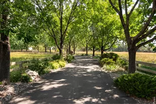 7009 Rozena Dr, Longmont, CO 80503 - Photo 13