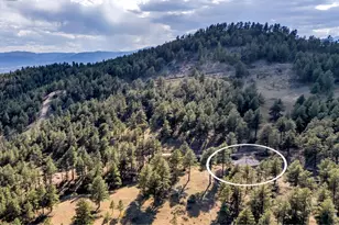 3723 Blue Mountain Trail, Lyons, CO 80540 - Photo 3