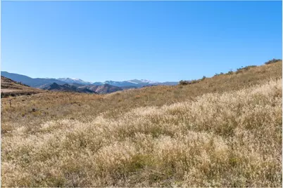 743 Horse Mountain Dr, Livermore, CO 80536 - Photo 9