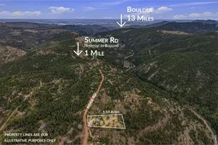 3612 Ridge Rd, Nederland, CO 80466 - Photo 5