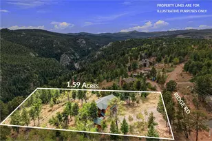 3612 Ridge Rd, Nederland, CO 80466 - Photo 45