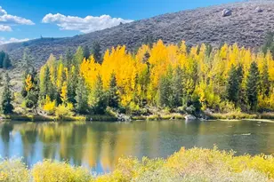 206 Co Rd 4421, Grand Lake, CO 80447 - Photo 3