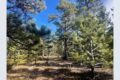 399 N Skinner Rd, Allenspark, CO 80510 - Photo 5