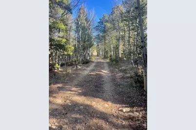 399 N Skinner Rd, Allenspark, CO 80510 - Photo 3