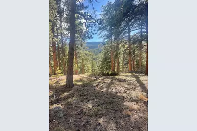 399 N Skinner Rd, Allenspark, CO 80510 - Photo 13