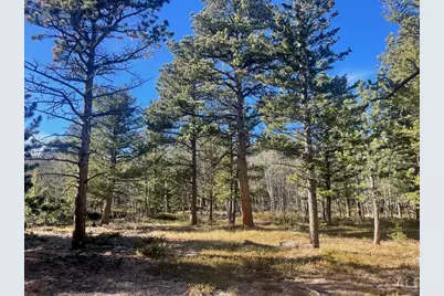 399 N Skinner Rd, Allenspark, CO 80510 - Photo 1