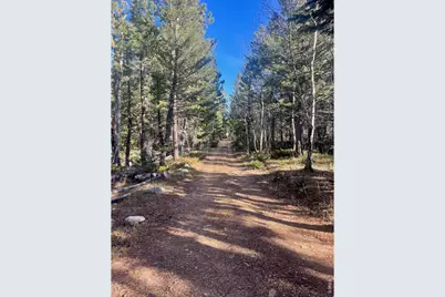 399 N Skinner Rd, Allenspark, CO 80510 - Photo 11