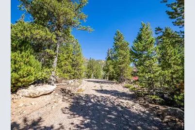 391 Tonkawa Dr, Red Feather Lakes, CO 80545 - Photo 3