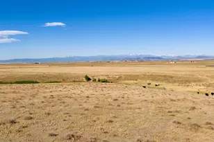 Cr 7, Wellington, CO 80549 - Photo 1