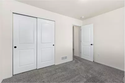 1723 Thrive Dr, Windsor, CO 80550 - Photo 27