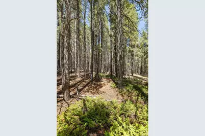 0 Spruce Way, Nederland, CO 80466 - Photo 19