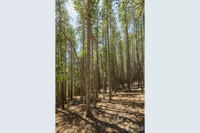 0 Spruce Way, Nederland, CO 80466 - Photo 11
