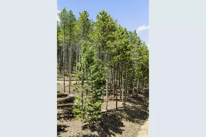 0 Spruce Way, Nederland, CO 80466 - Photo 9