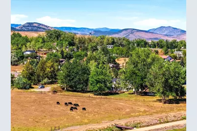 8418 Stirrup Ln, Longmont, CO 80503 - Photo 47