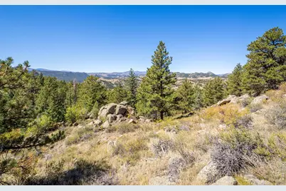 684 Iron Mountain Dr, Livermore, CO 80536 - Photo 15