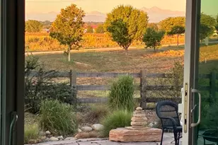 1573 Brolien Dr, Windsor, CO 80550 - Photo 31