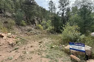 555 Riverside Dr, Lyons, CO 80540 - Photo 1
