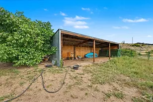 3038 Hewlett Gulch Rd, Livermore, CO 80536 - Photo 31