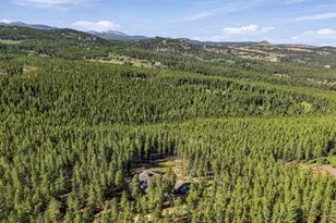 57 Aspen Way, Nederland, CO 80466 - Photo 41