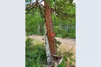 180 Yuki Dr, Red Feather Lakes, CO 80545 - Photo 1