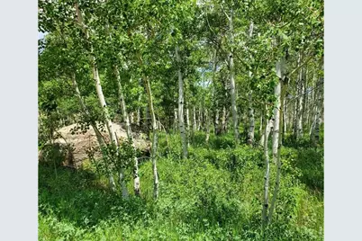 180 Yuki Dr, Red Feather Lakes, CO 80545 - Photo 5
