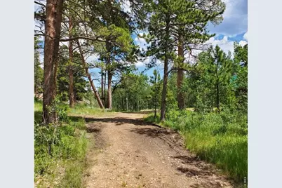 180 Yuki Dr, Red Feather Lakes, CO 80545 - Photo 7