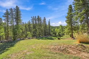 563 Pine Cone Cir, Ward, CO 80481 - Photo 39