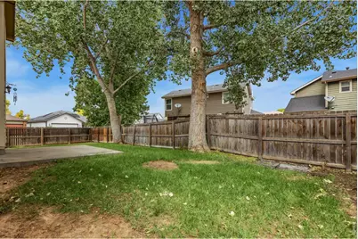 894 Durum St, Windsor, CO 80550 - Photo 39