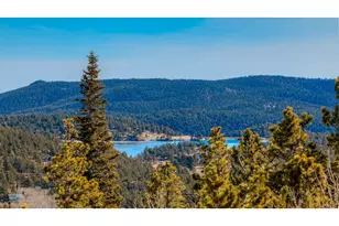 1386 Gold Lake Rd, Ward, CO 80481 - Photo 35