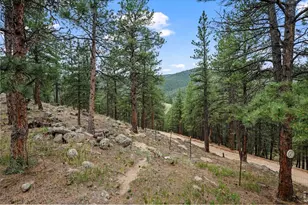38411 Boulder Canyon Dr, Boulder, CO 80302 - Photo 41