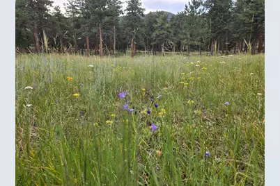 18677 State Highway 7, Lyons, CO 80540 - Photo 5