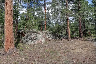 166 Cherokee Rd, Lyons, CO 80540 - Photo 41