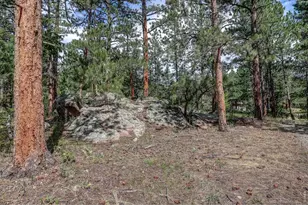 166 Cherokee Rd, Lyons, CO 80540 - Photo 41