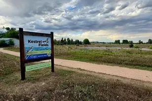708 Theo Ave, Fort Collins, CO 80521 - Photo 25