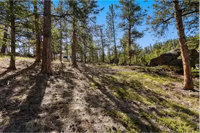 105 Fox Creek Rd, Glen Haven, CO 80532 - Photo 39