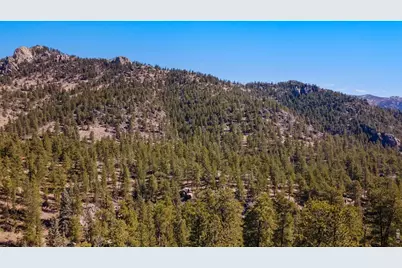 105 Fox Creek Rd, Glen Haven, CO 80532 - Photo 21