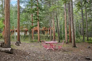 2439 Lump Gulch Rd, Black Hawk, CO 80422 - Photo 41