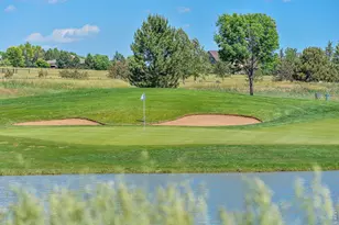 6467 Half Moon Bay Dr, Windsor, CO 80550 - Photo 39