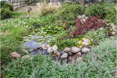 5250 4th Ave, Timnath, CO 80547 - Photo 31