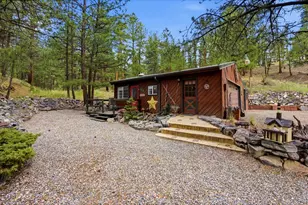 102 Insmont Dr, Bailey, CO 80421 - Photo 39