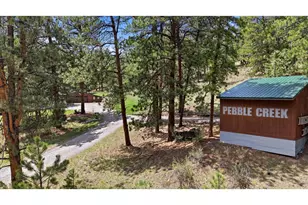 102 Insmont Dr, Bailey, CO 80421 - Photo 7