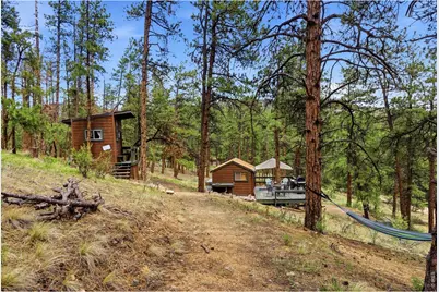 102 Insmont Dr, Bailey, CO 80421 - Photo 41