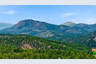 102 Insmont Dr, Bailey, CO 80421 - Photo 9