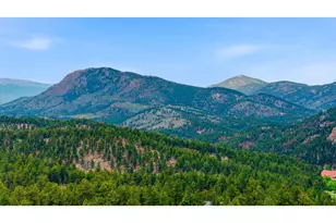 102 Insmont Dr, Bailey, CO 80421 - Photo 9