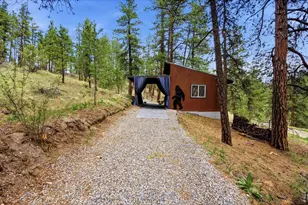 102 Insmont Dr, Bailey, CO 80421 - Photo 39