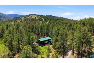 102 Insmont Dr, Bailey, CO 80421 - Photo 5