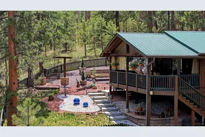 102 Insmont Dr, Bailey, CO 80421 - Photo 3